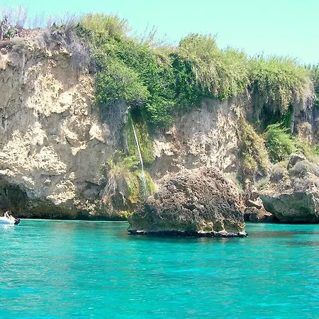 Starnerja Ii *
