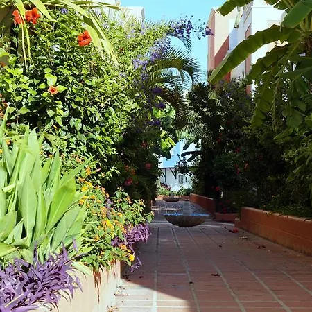 Apartamento Starnerja Ii *