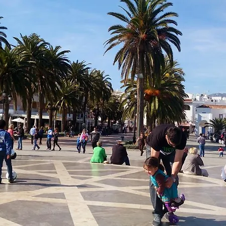 Starnerja Ii