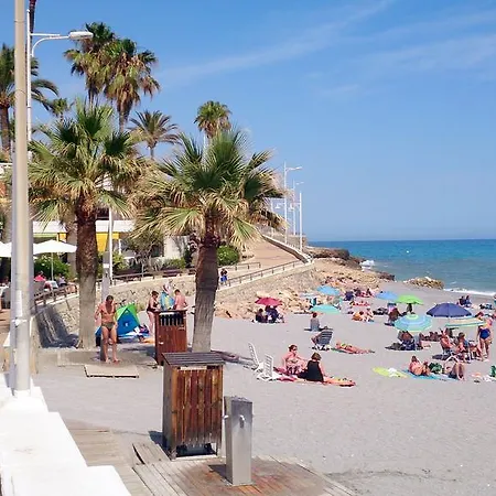 Starnerja Ii