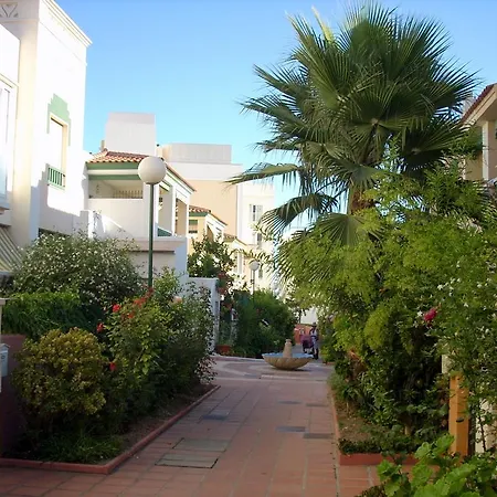 Starnerja Ii