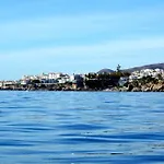 Starnerja Ii *