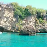 Starnerja Ii *