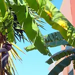 Starnerja Ii Διαμέρισμα