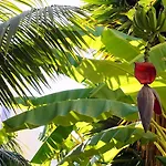 Διαμέρισμα Starnerja Ii