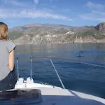 Διαμέρισμα Starnerja Ii *
