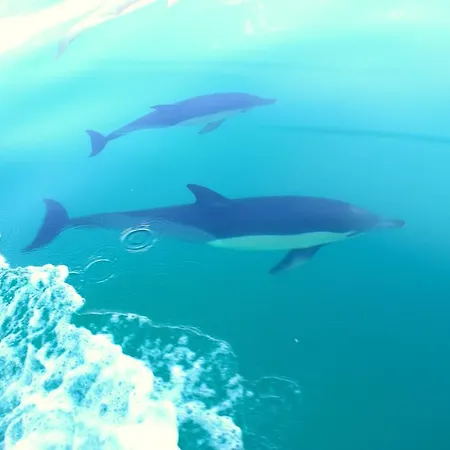 Διαμέρισμα Starnerja Ii