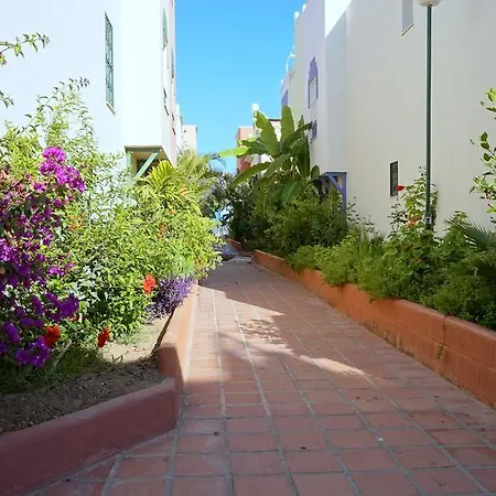 Starnerja Ii Nerja