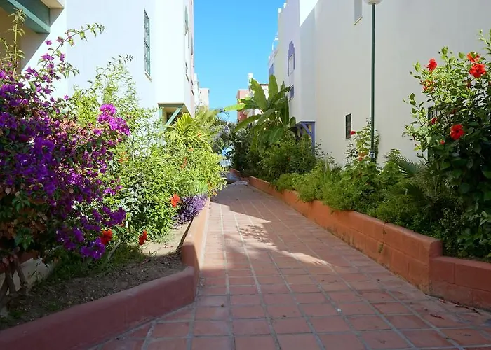 Starnerja Ii نيرخا