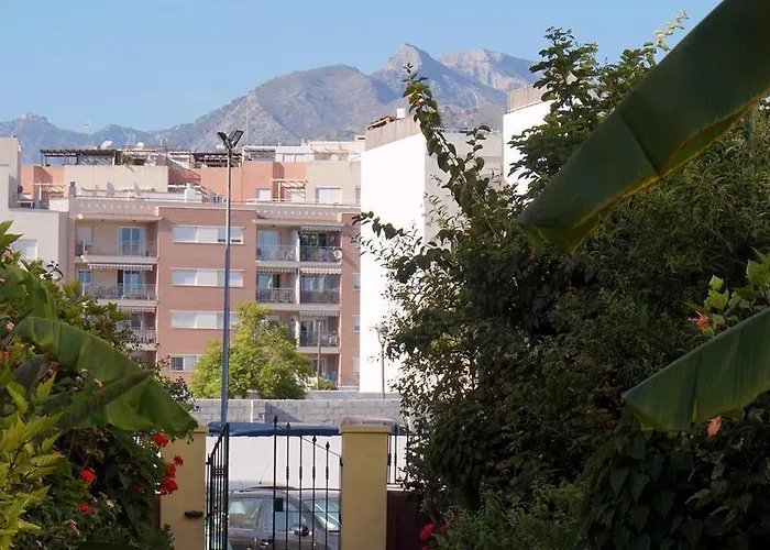 Starnerja Ii نيرخا