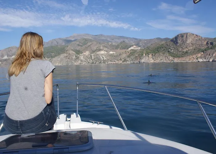 Apartment Starnerja Ii *