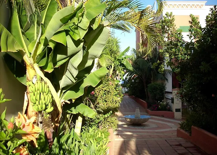 Apartment Starnerja Ii