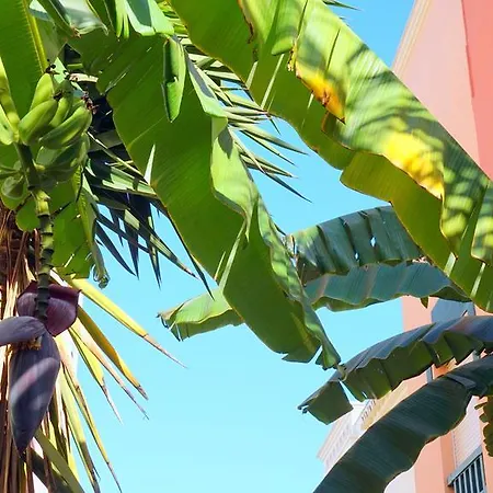 Starnerja Ii Apartament