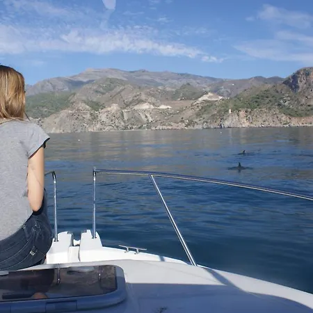 Apartament Starnerja Ii *