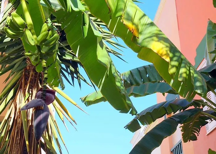 Starnerja Ii Апартаменты